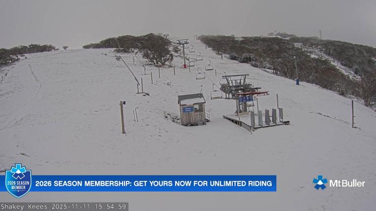 Webcam Mt. Buller: The fox
