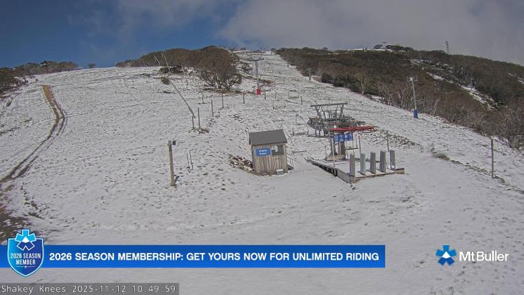 Webcam Mt. Buller: The fox