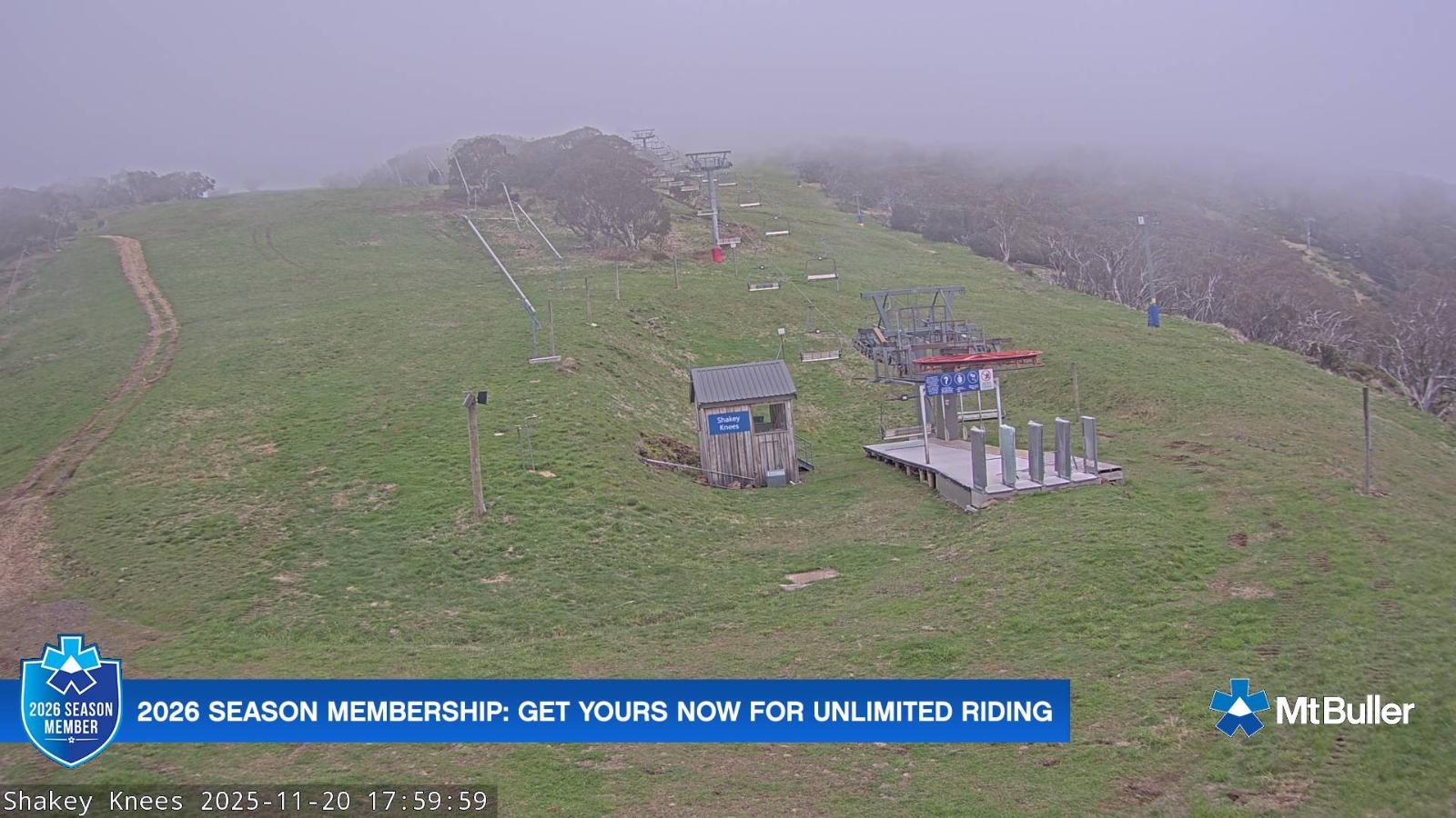 Webcam Mt. Buller: The fox