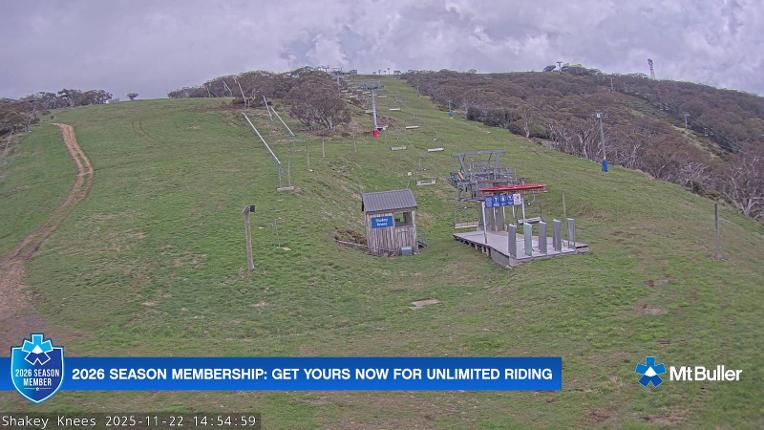 Webcam Mt. Buller: The fox