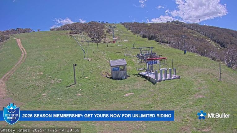 Webcam Mt. Buller: The fox