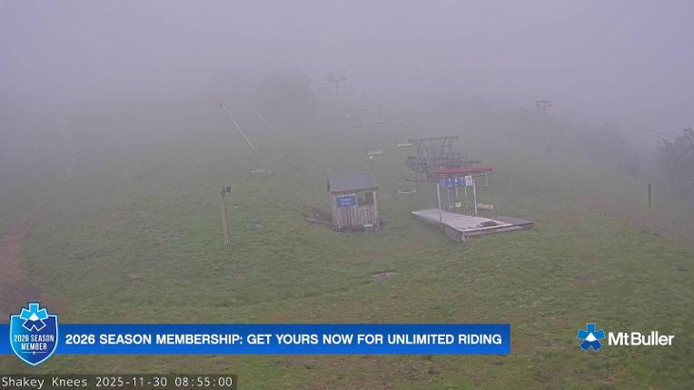 Webcam Mt. Buller: The fox