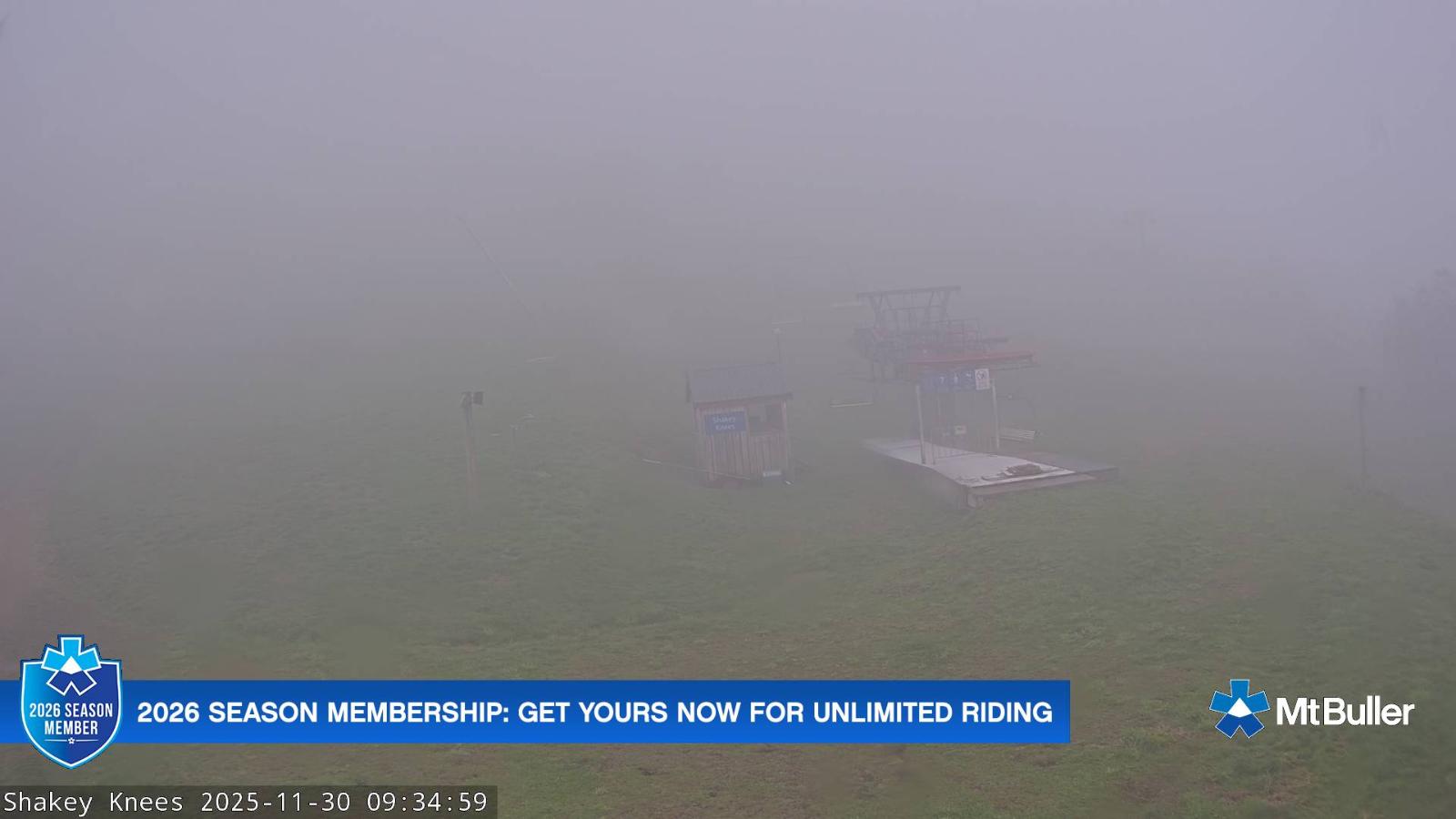 Webcam Mt. Buller: The fox