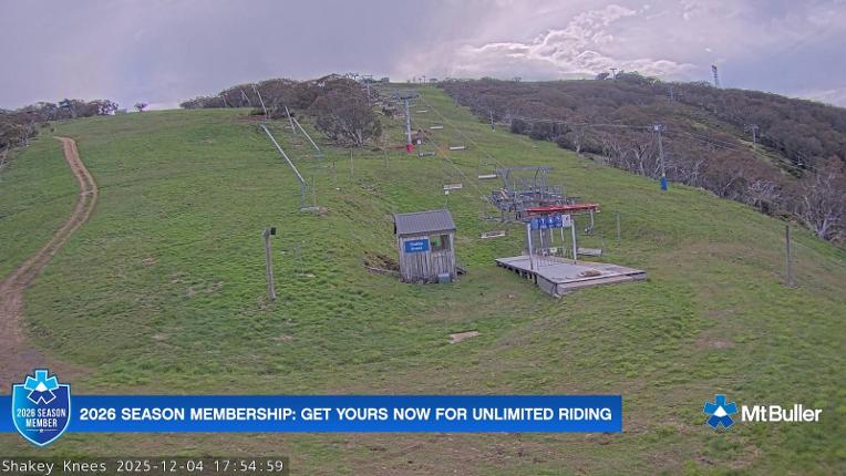 Webcam Mt. Buller: The fox