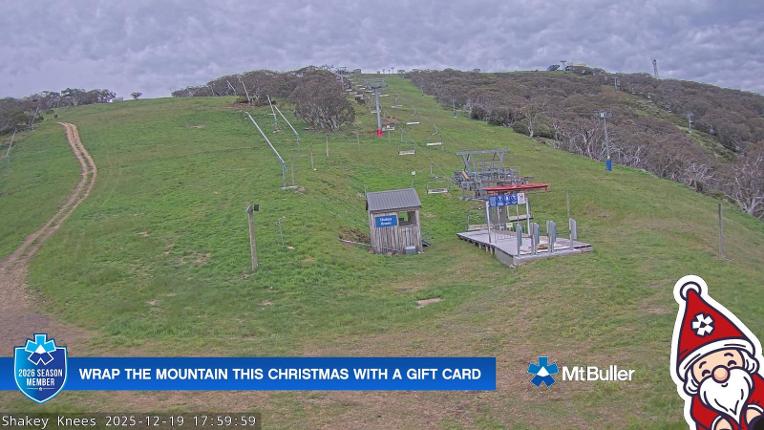 Webcam Mt. Buller: The fox