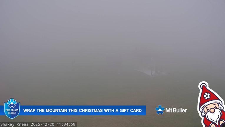 Webcam Mt. Buller: The fox