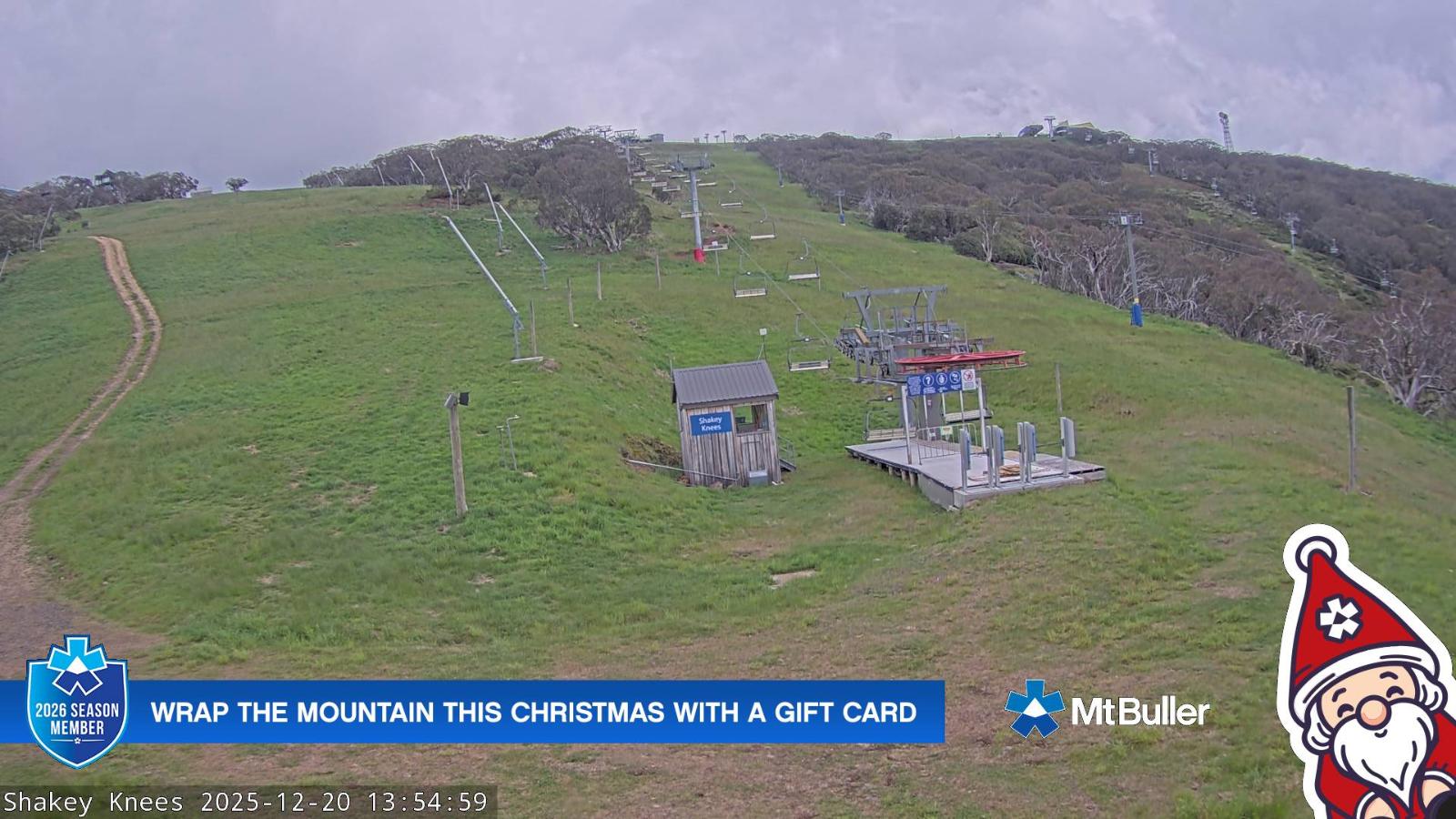 Webcam Mt. Buller: The fox