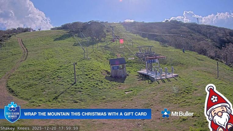 Webcam Mt. Buller: The fox