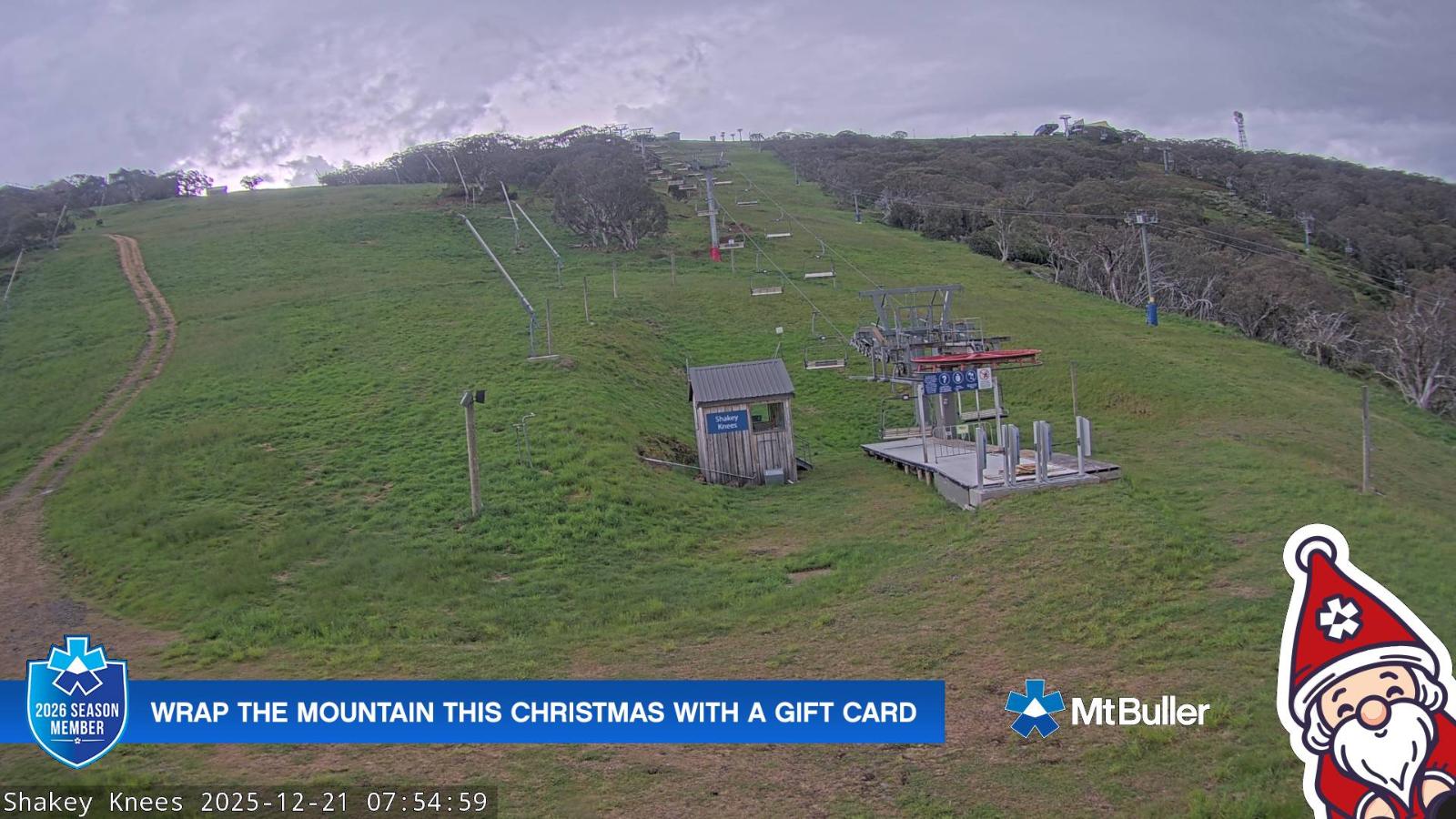 Webcam Mt. Buller: The fox