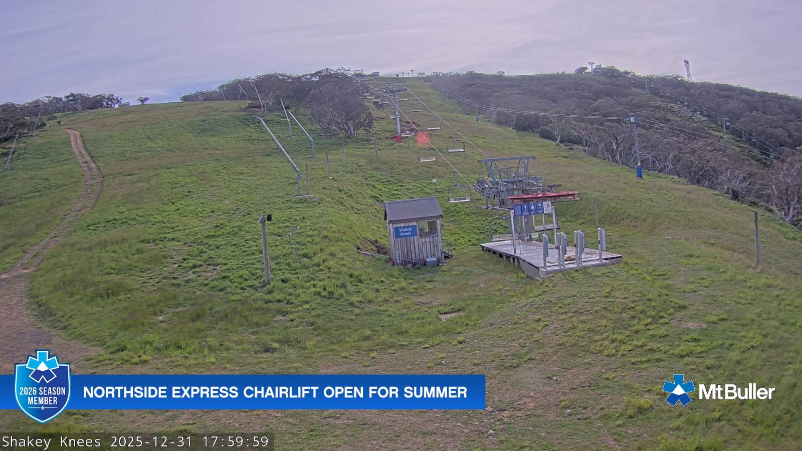 Webcam Mt. Buller: The fox