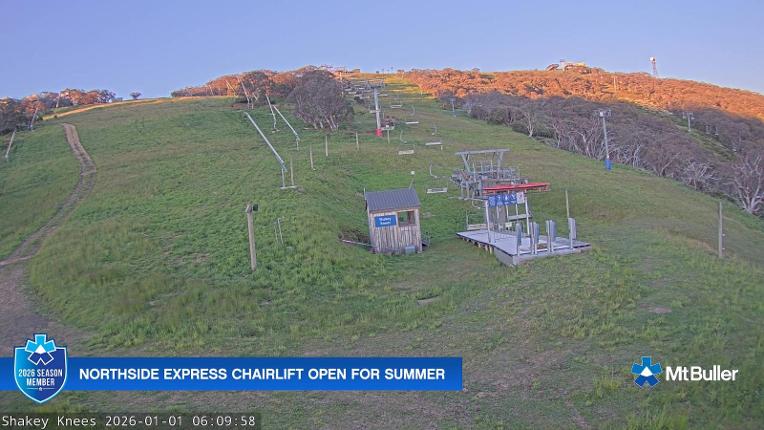 Webcam Mt. Buller: The fox