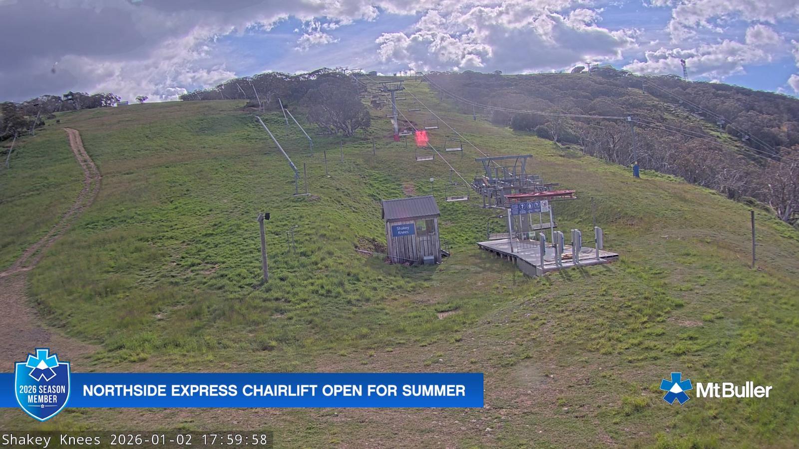 Webcam Mt. Buller: The fox