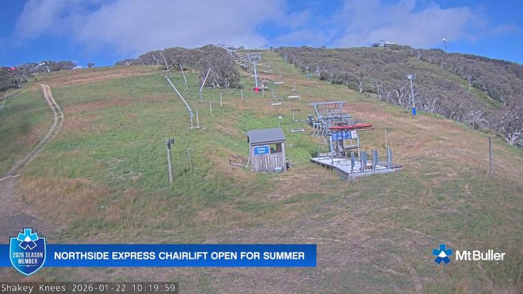 Webcam Mt. Buller: The fox