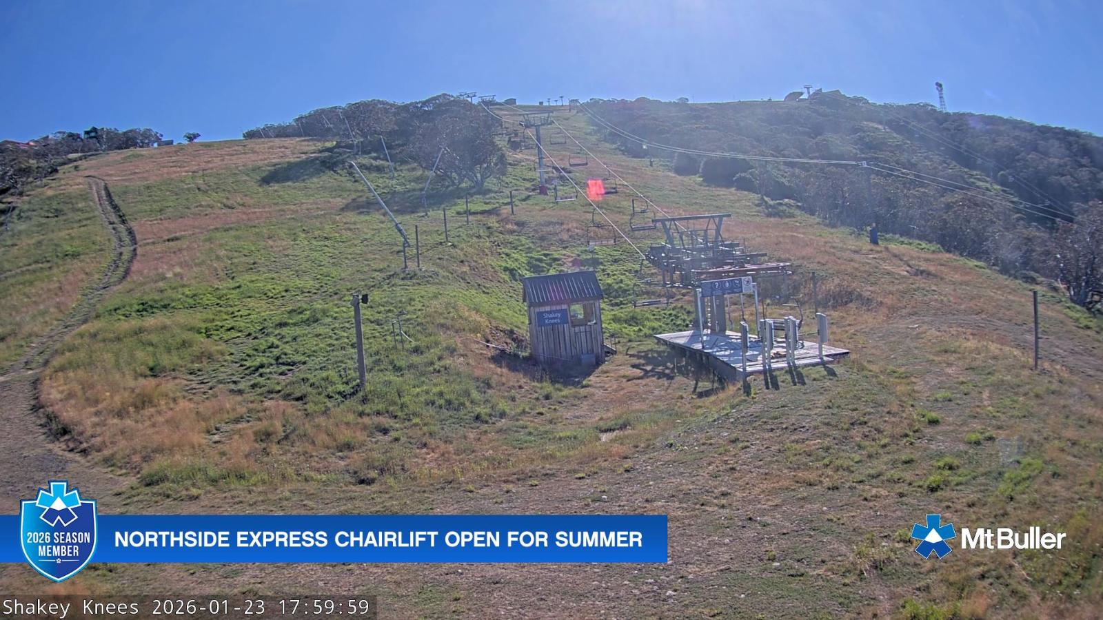 Webcam Mt. Buller: The fox