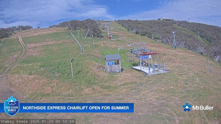 Webcam Mt. Buller: The fox