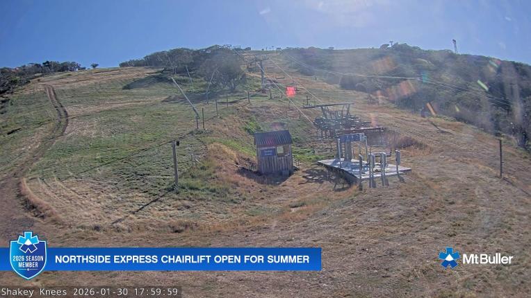 Webcam Mt. Buller: The fox