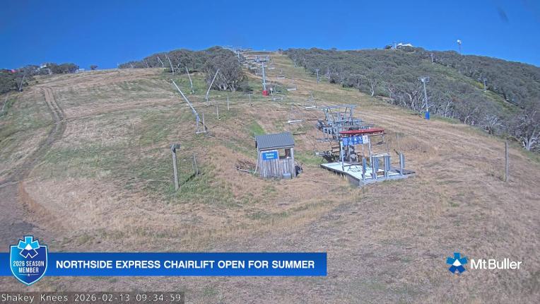 Webcam Mt. Buller: The fox