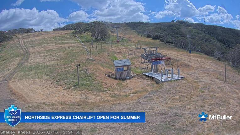 Webcam Mt. Buller: The fox