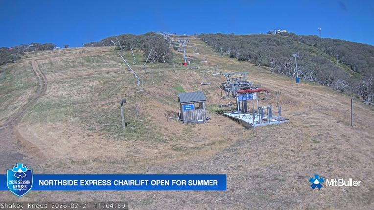 Webcam Mt. Buller: The fox