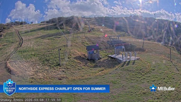 Webcam Mt. Buller: The fox