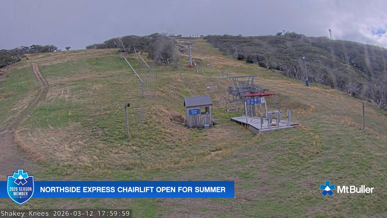 Webcam Mt. Buller: The fox