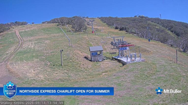 Webcam Mt. Buller: The fox