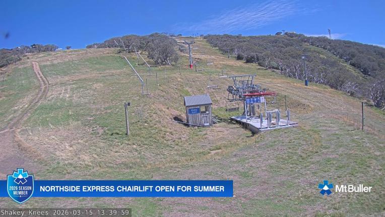 Webcam Mt. Buller: The fox