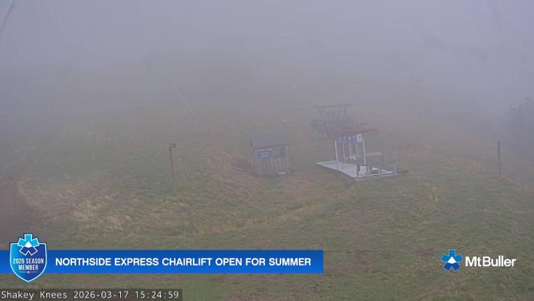 Webcam Mt. Buller: The fox