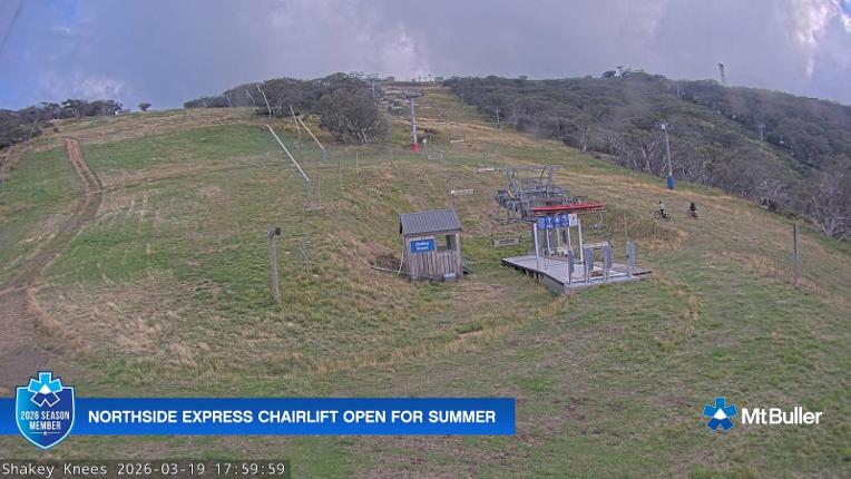 Webcam Mt. Buller: The fox