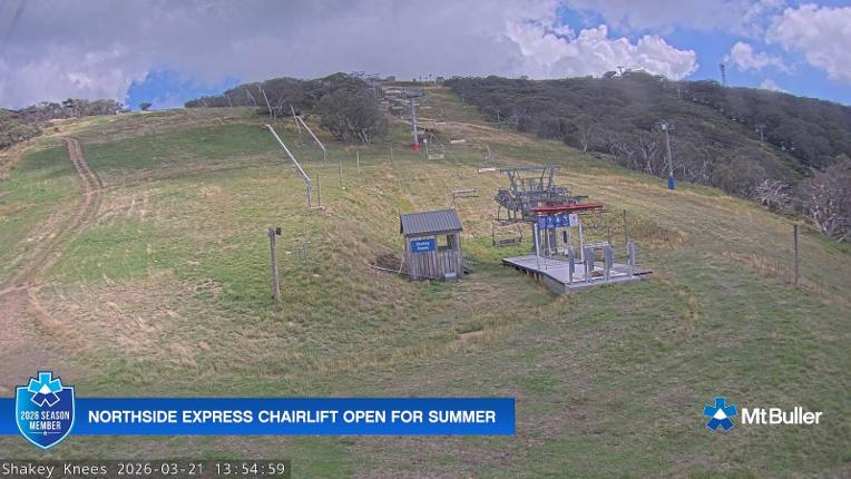 Webcam Mt. Buller: The fox