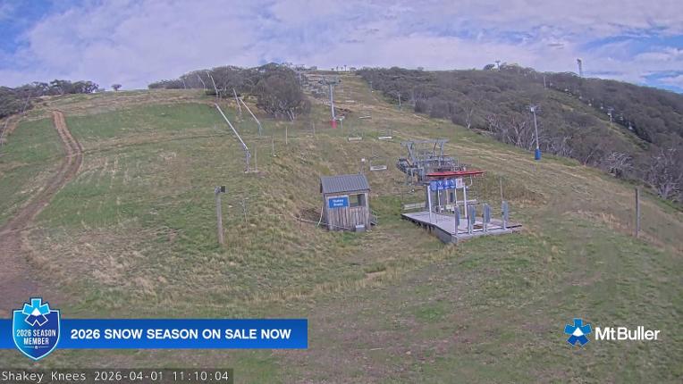 Webcam Mt. Buller: The fox