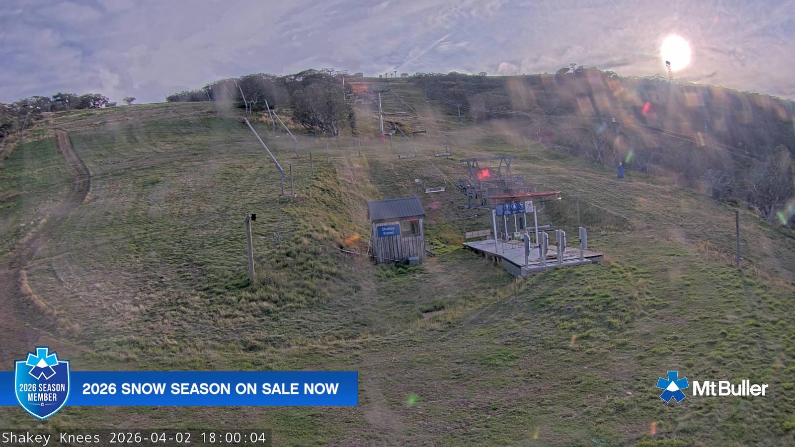 Webcam Mt. Buller: The fox