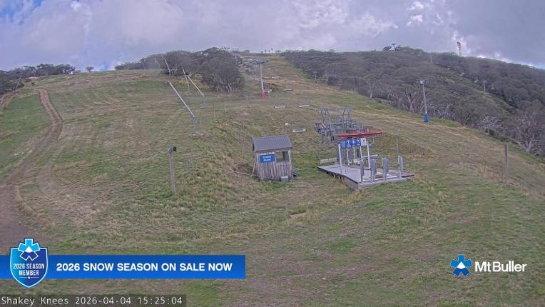 Webcam Mt. Buller: The fox