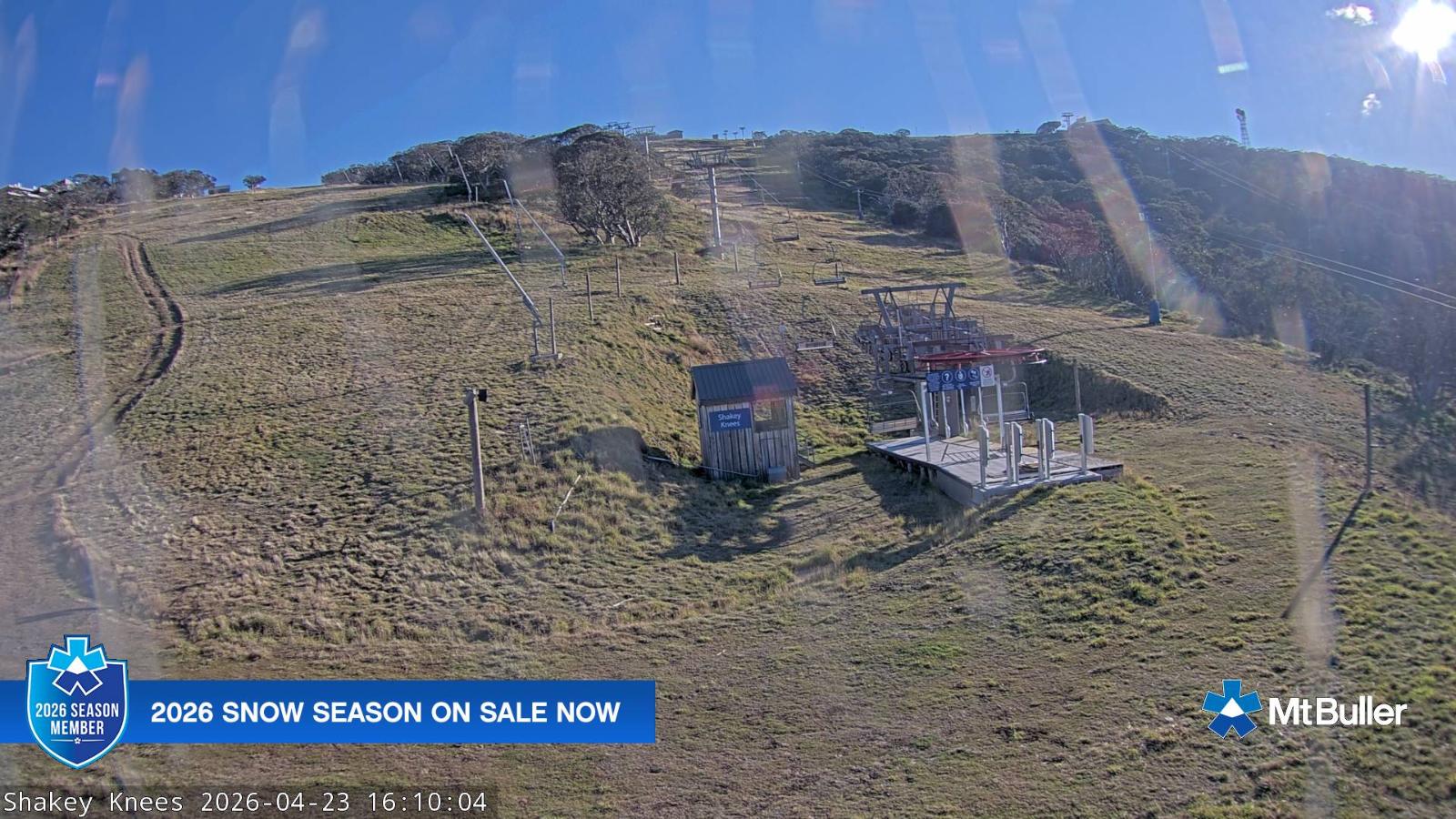Webcam Mt. Buller: The fox