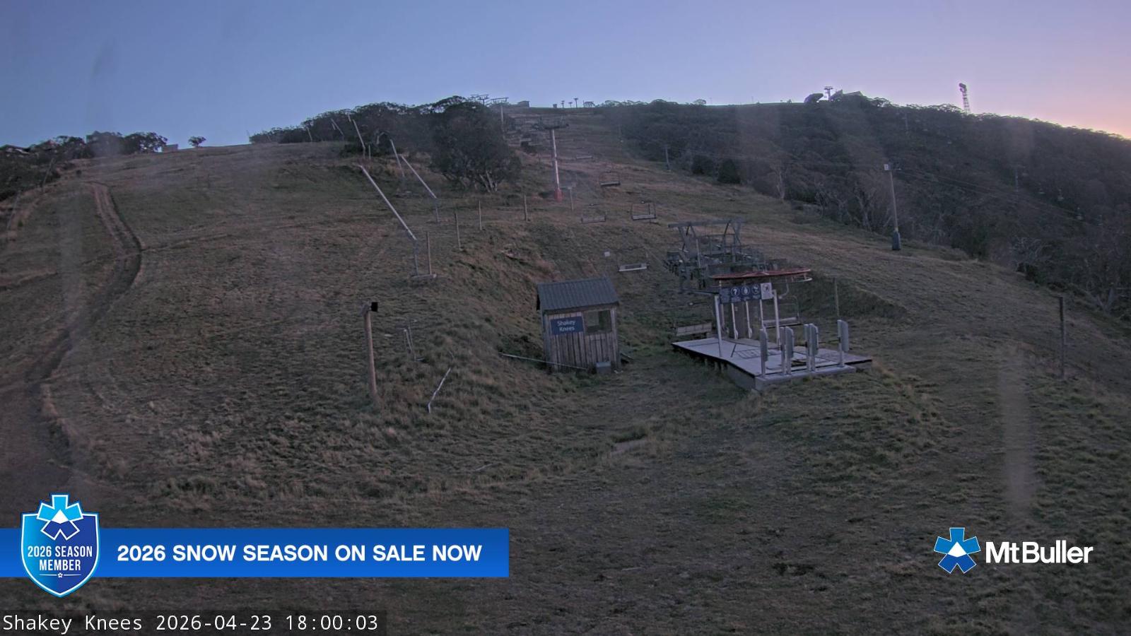 Webcam Mt. Buller: The fox