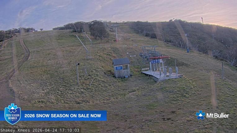 Webcam Mt. Buller: The fox