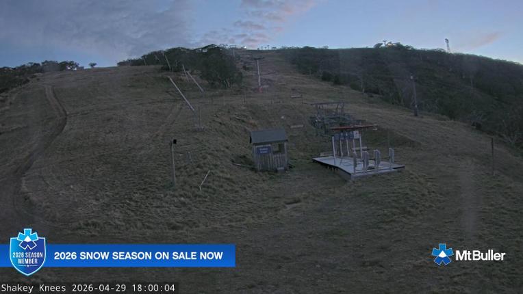 Webcam Mt. Buller: The fox