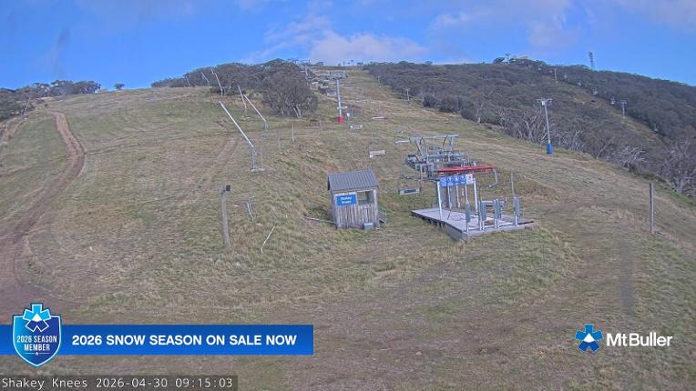 Webcam Mt. Buller: The fox