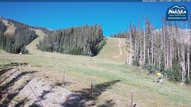 Webcam Nakiska: Mid Gold Express