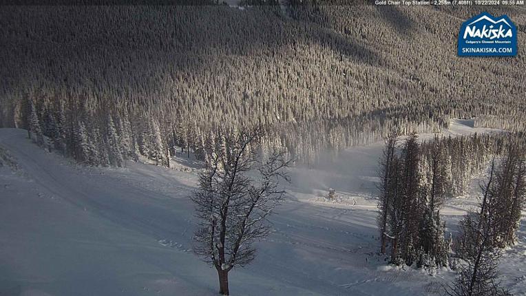 Webcam Nakiska: Top of Gold Chair