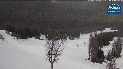 Nakiska webcam