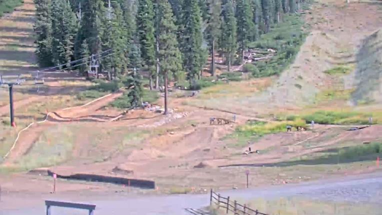 Webcam Northstar California: Mid Mountain