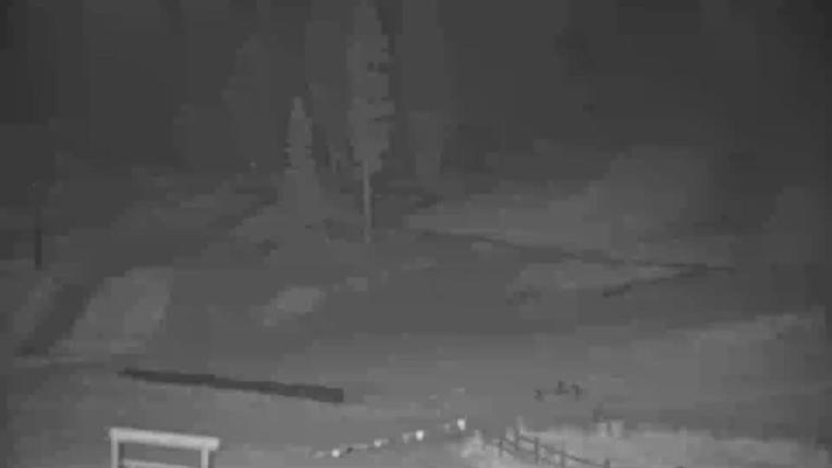 Webcam Northstar California: Mid Mountain