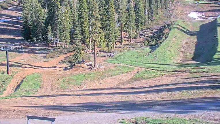 Webcam Northstar California: Mid Mountain