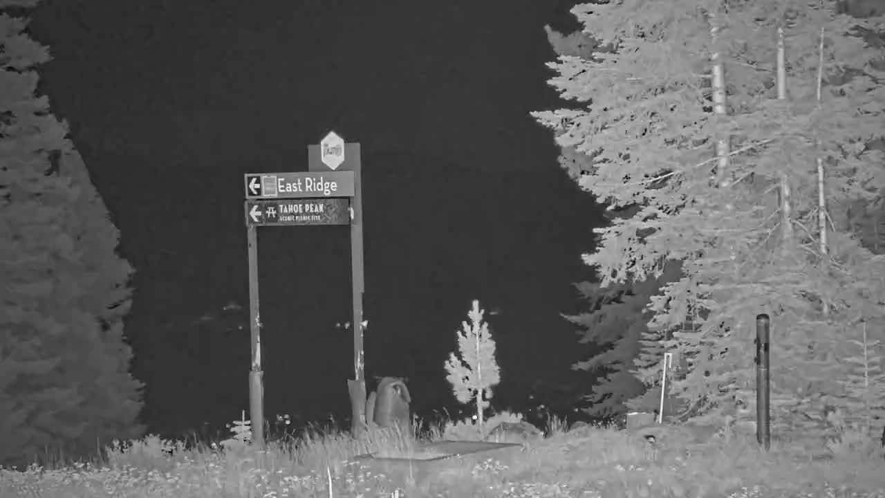Webcam Northstar California: Mount Pluto Summit
