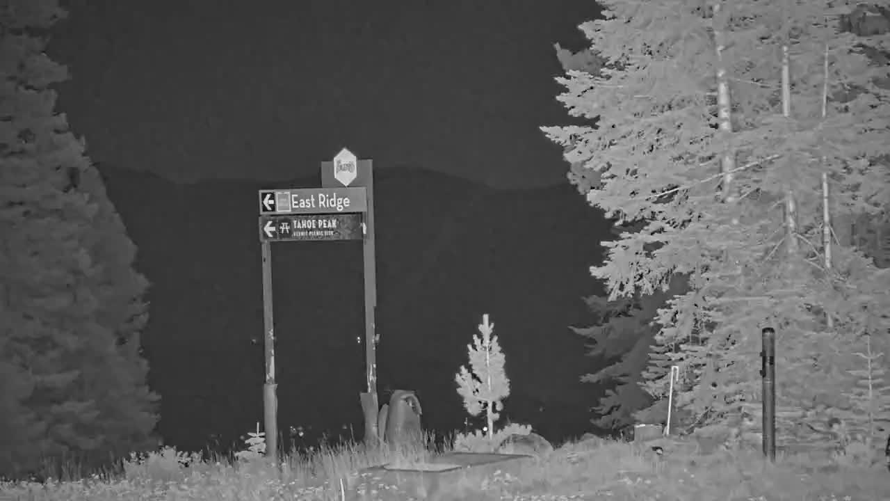 Webcam Northstar California: Mount Pluto Summit