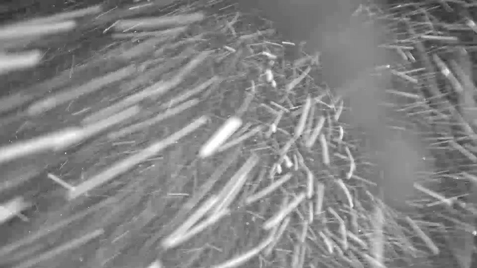 Webcam Northstar California: Mount Pluto Summit