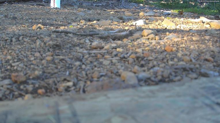 Webcam Northstar California: Snow Stake