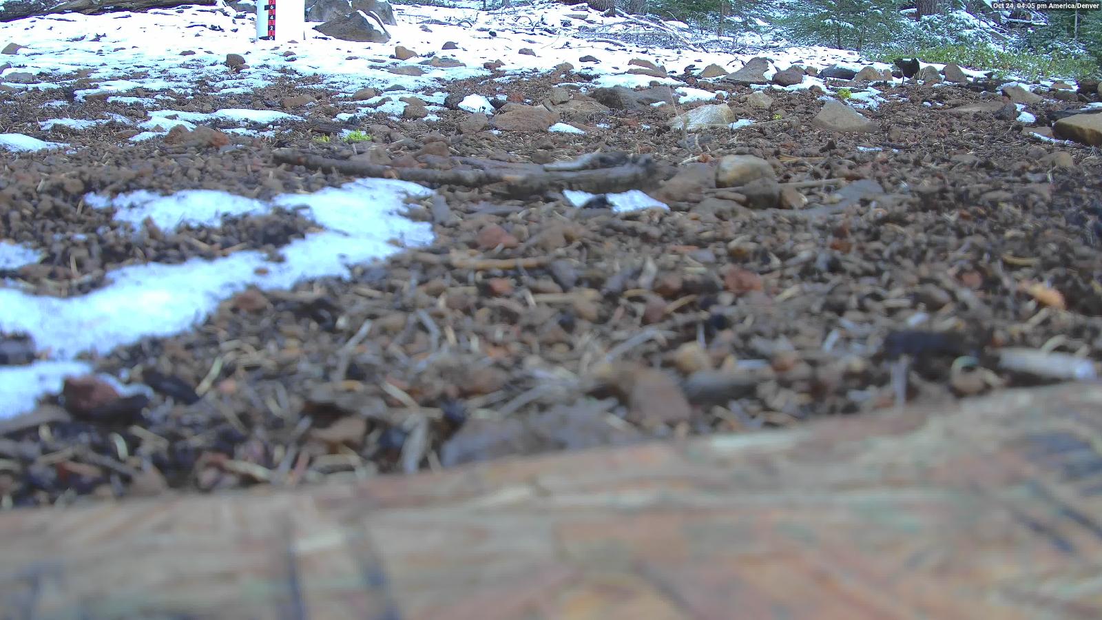 Webcam Northstar California: Snow Stake