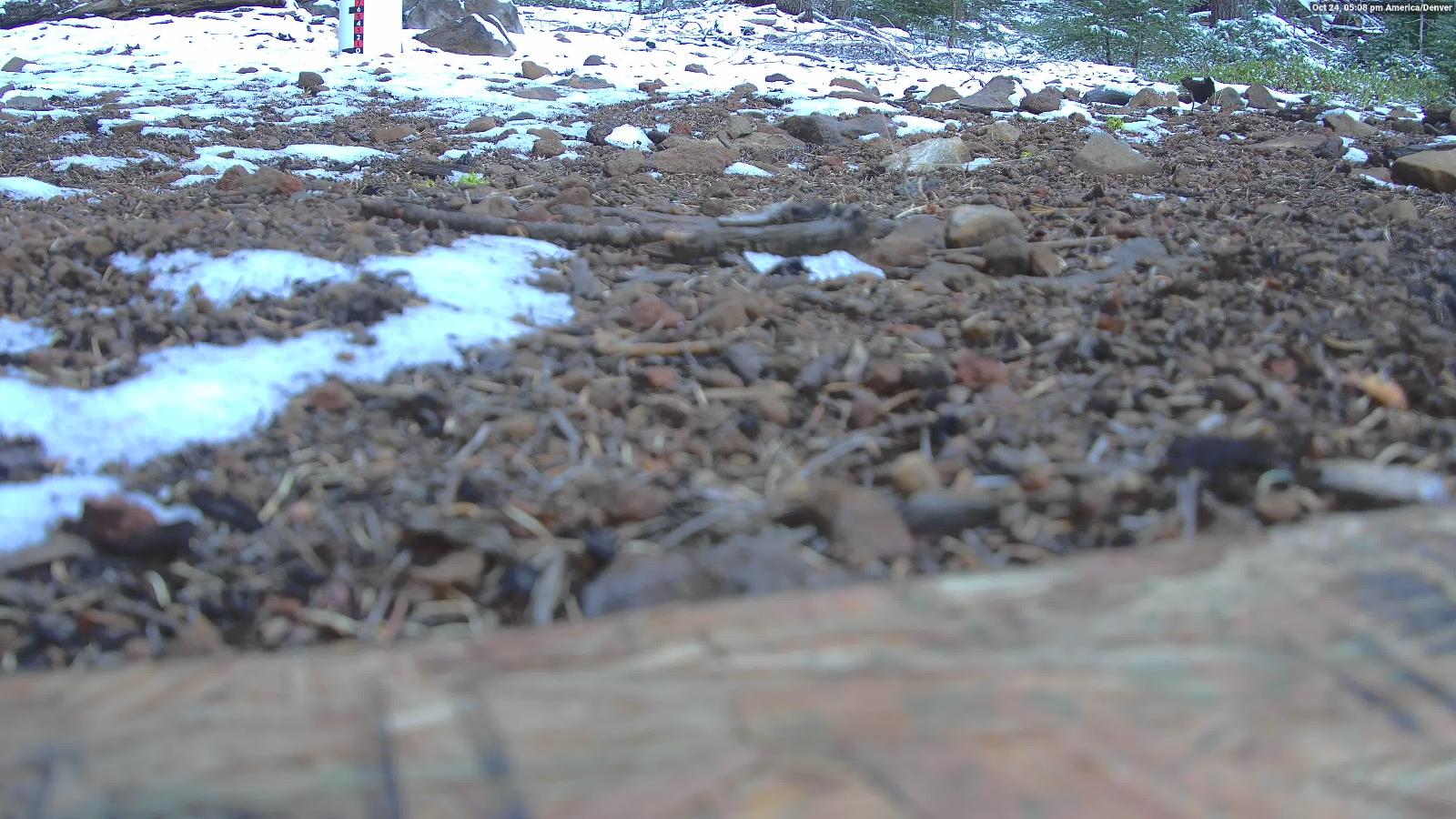Webcam Northstar California: Snow Stake